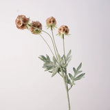 Load image into Gallery viewer, Artificial Scabiosa Starflower Pod Spray (60cm)