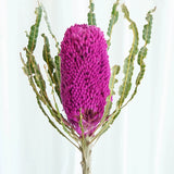 Load image into Gallery viewer, Real Dried Preserved Banksia Flower with Foliage