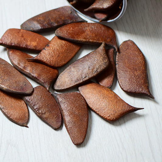 Natural Dried Plant Pods for DIY Crafts