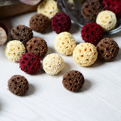 Natural Dried Maple Fruits for DIY Crafting