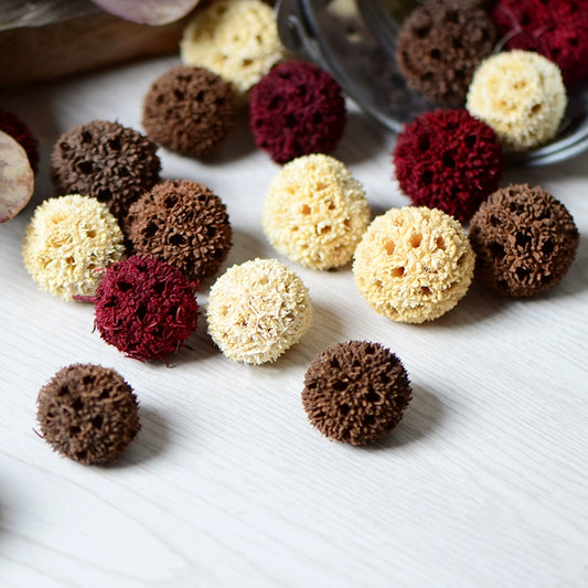 Natural Dried Maple Fruits for DIY Crafting