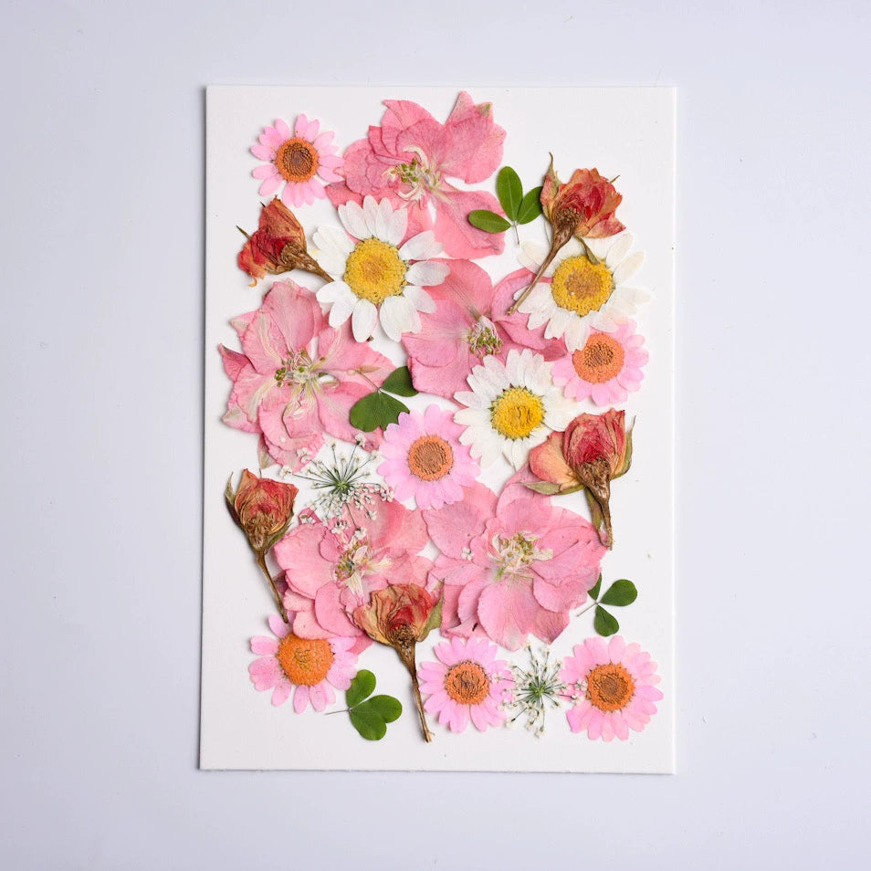 26 Pcs Mixed Dried Pressed Flowers Leaves