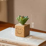 Load image into Gallery viewer, Smiling Artificial Mini Succulents