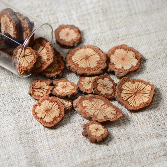100g Natural Dried Wood Slices for DIY Crafting