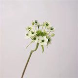 Load image into Gallery viewer, Artificial Star of Bethlehem Flower Stem (64cm)