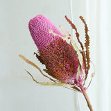 Load image into Gallery viewer, Real Dried Preserved Banksia Flower with Foliage