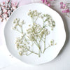 white 100pcs