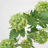 Load image into Gallery viewer, Artificial Snowball Hydrangea Spray (79cm)