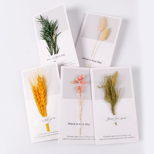 Real Dried Flower Greeting Cards Pack 10