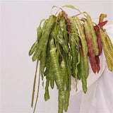 Load image into Gallery viewer, Artificial Hanging Seed Pod Spray (100cm)