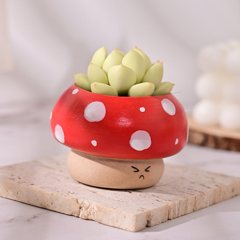 cute plant pot Cute Mushroom Mini Ceramic Plant Pot