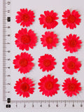 Load image into Gallery viewer, 12 Pcs Pressed Dried Dyed Daisy Flowers