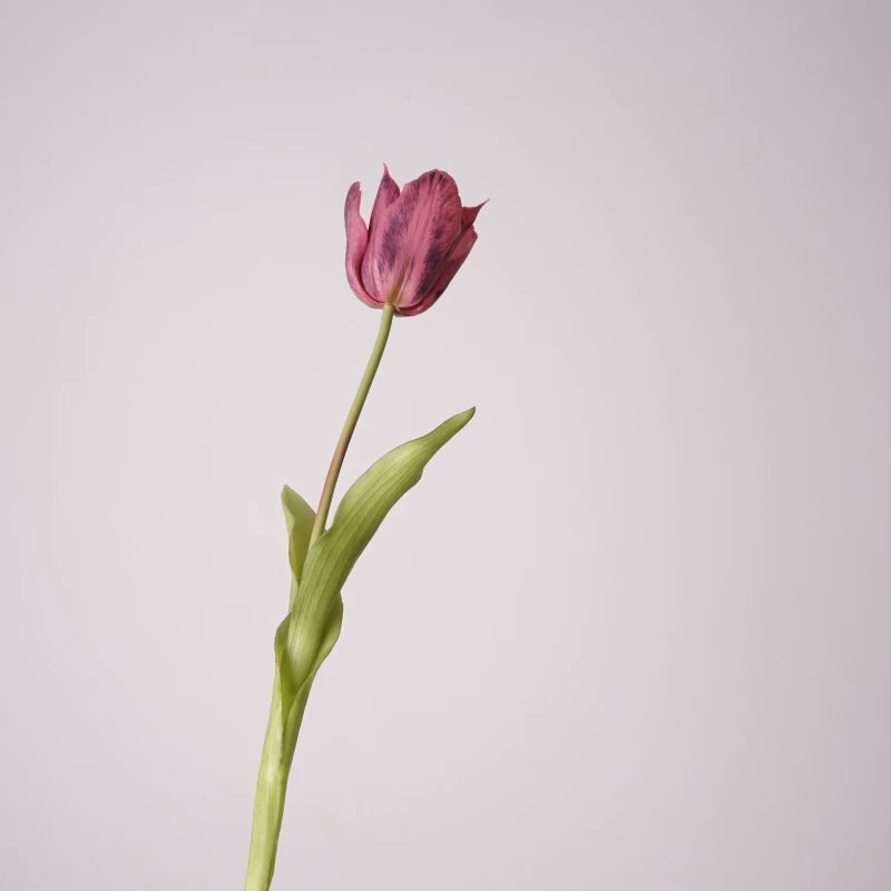 24" Real-Touch Artificial Tulip Stem