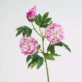 Load image into Gallery viewer, 32" 3-Head Real Touch Silk Peony Stem