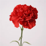 Load image into Gallery viewer, Real Touch Artificial Carnation Flower Stem (49cm)