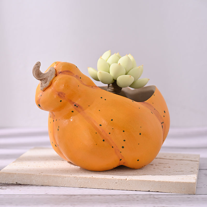 ceramic pumpkin flower pot Cute Pumpkin Small Ceramic Plant Pot – Floral Supplies Store