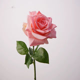 Load image into Gallery viewer, Real Touch Ocean Song Rose Stem (67cm)