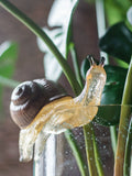 Load image into Gallery viewer, Realistic Faux Snail Ornament for Planters