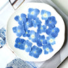 3-4cm Blue 50pcs