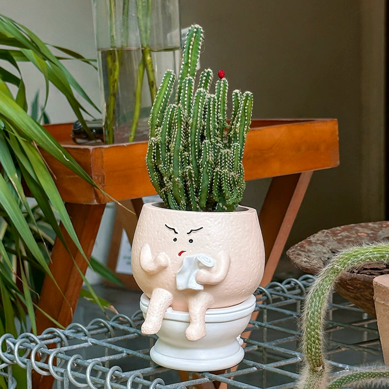 succulent pots cute Funny Toilet Character Resin Succulent Pot