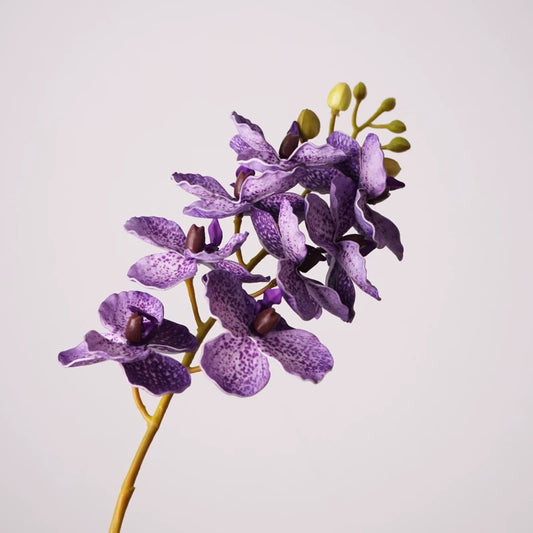 30" Real Touch Artificial Vanda Orchid Stem