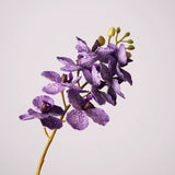 Load image into Gallery viewer, Real Touch Artificial Vanda Orchid Stem (75cm)