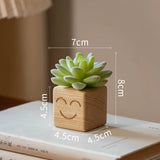 Load image into Gallery viewer, Smiling Artificial Mini Succulents