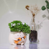 Load image into Gallery viewer, Adorable Small Resin Succulent Pot