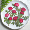 20pcs