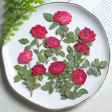 Load image into Gallery viewer, 20 Pcs Dried Pressed Red Roses with Stems