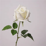 Load image into Gallery viewer, Artificial Real Touch Gemini Rose Stem (66cm)