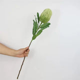 Load image into Gallery viewer, Artificial Banksia Flower Stem (64cm)
