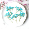 blue 100pcs