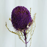 Load image into Gallery viewer, Real Dried Preserved Banksia Flower with Foliage