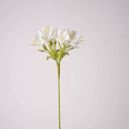 22" Real Touch Artificial Agapanthus Stem