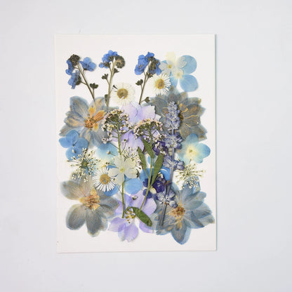 26 Pcs Mixed Dried Pressed Flowers Leaves