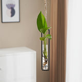 Load image into Gallery viewer, Glass Tube Hanging Metal Vase Set