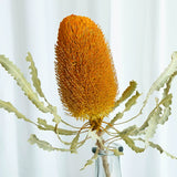 Load image into Gallery viewer, Real Dried Preserved Banksia Flower with Foliage