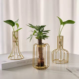 Load image into Gallery viewer, Sleek Metal Frame Test Tube Outline Vase