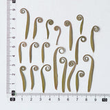 Load image into Gallery viewer, 100 Pcs Real Pressed Dried Curled Fern Stems