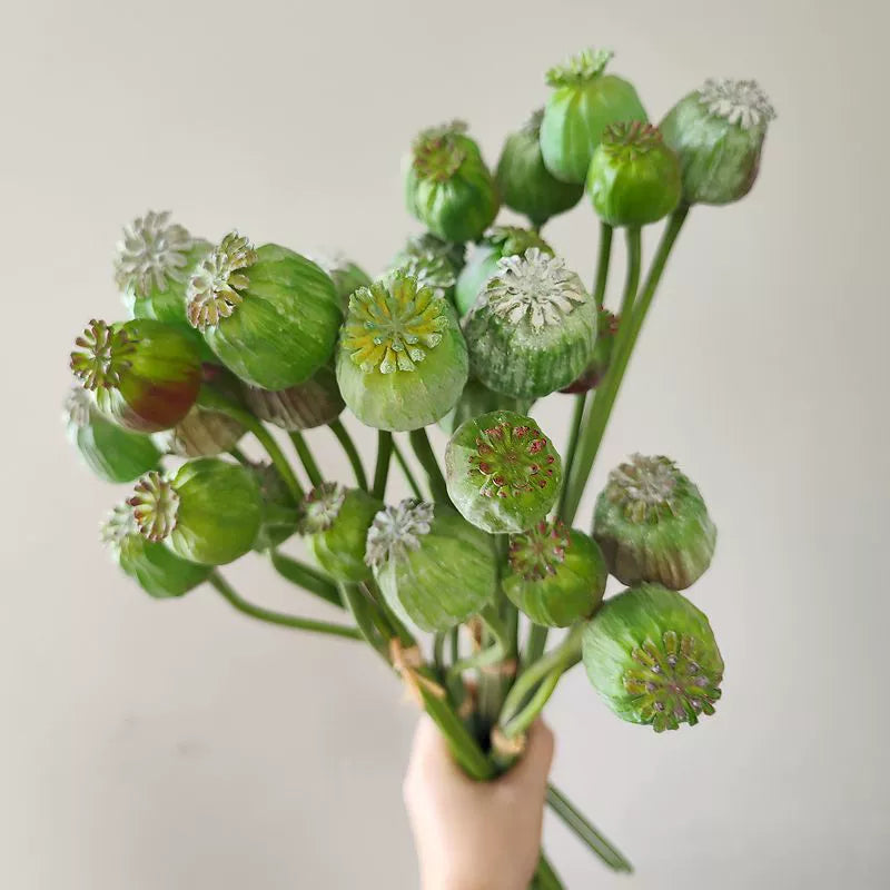 opium plant seeds for sale Artificial Opium Poppy Seed Pods Stem