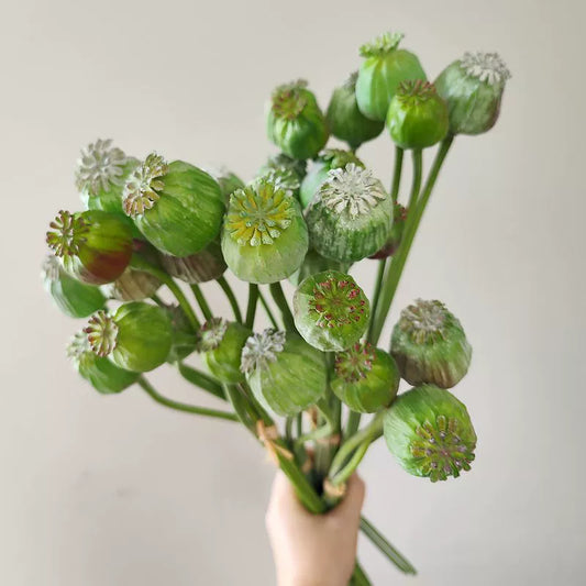 21" Artificial Poppy Pods Spray