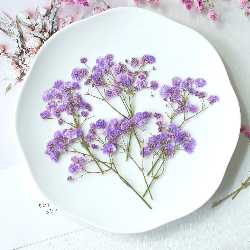 100Pcs Real Pressed Dried Baby's Breath