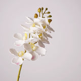 Load image into Gallery viewer, Real Touch Artificial Vanda Orchid Stem (75cm)