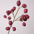 Rose vif