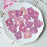 Load image into Gallery viewer, 50 Pcs Pressed Dried Hydrangea Flower for DIY Crafts