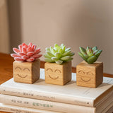 Load image into Gallery viewer, Smiling Artificial Mini Succulents