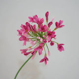 Load image into Gallery viewer, Artificial Lily of the Nile Stem (76cm)