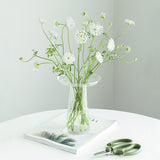 Load image into Gallery viewer, Clear T-Shaped Hydroponic Glass Vase