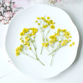 yellow 100pcs